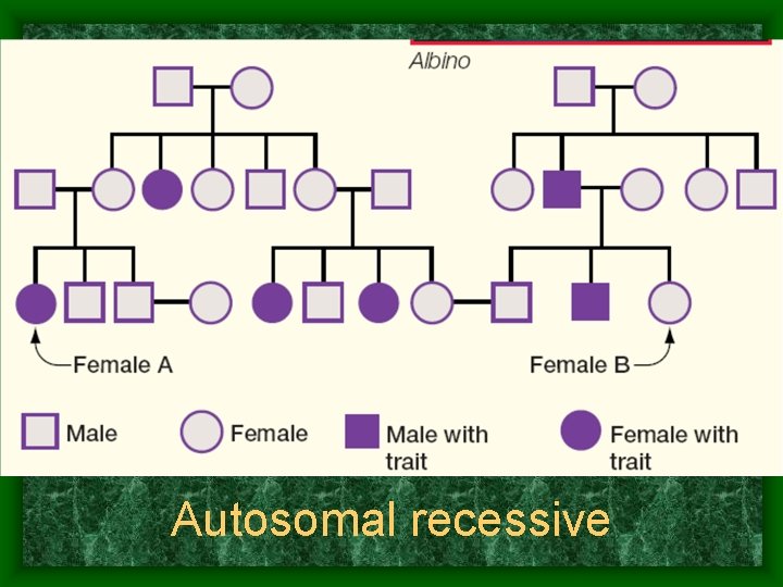 Autosomal recessive 