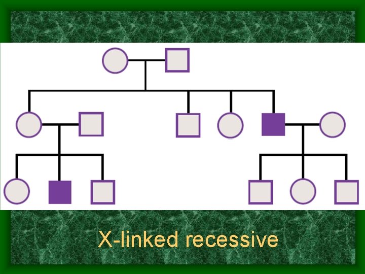 X-linked recessive 