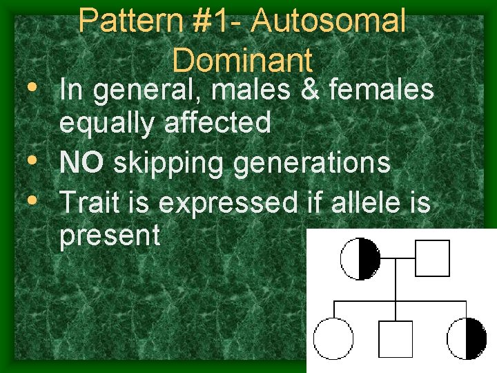 Pattern #1 - Autosomal Dominant • In general, males & females equally affected •