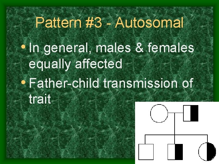 Pattern #3 - Autosomal • In general, males & females equally affected • Father-child