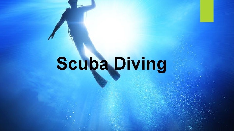 Scuba Diving 