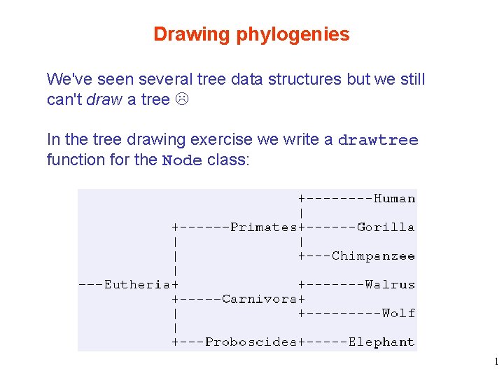 Drawing phylogenies We've seen several tree data structures but we still can't draw a