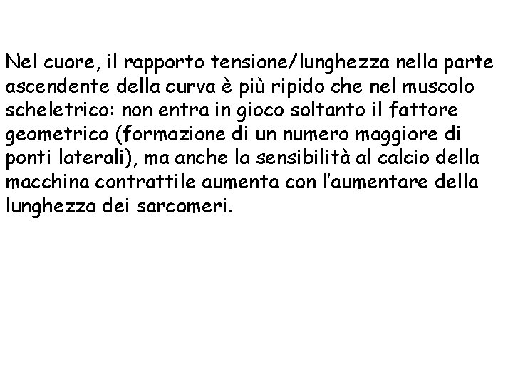 Nel cuore, il rapporto tensione/lunghezza nella parte ascendente della curva è più ripido che