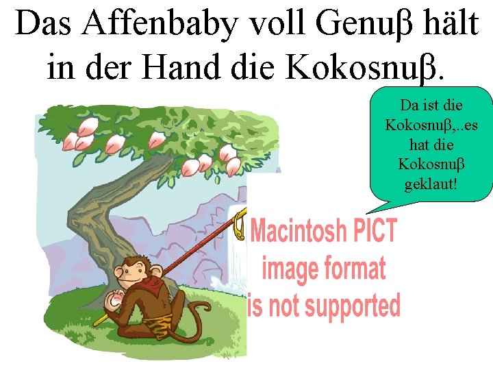 Das Affenbaby voll Genuβ hält in der Hand die Kokosnuβ. Da ist die Kokosnuβ,