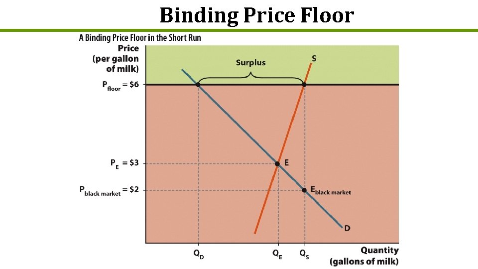 Binding Price Floor 