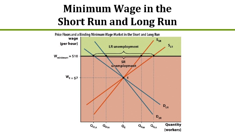 Minimum Wage in the Short Run and Long Run 