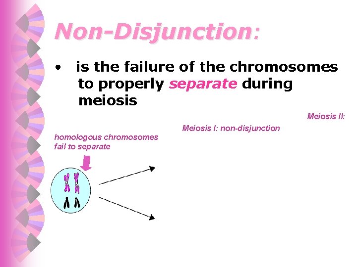 Non-Disjunction: • is the failure of the chromosomes to properly separate during meiosis Meiosis