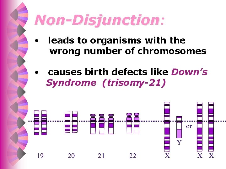 Non-Disjunction: • leads to organisms with the wrong number of chromosomes • causes birth