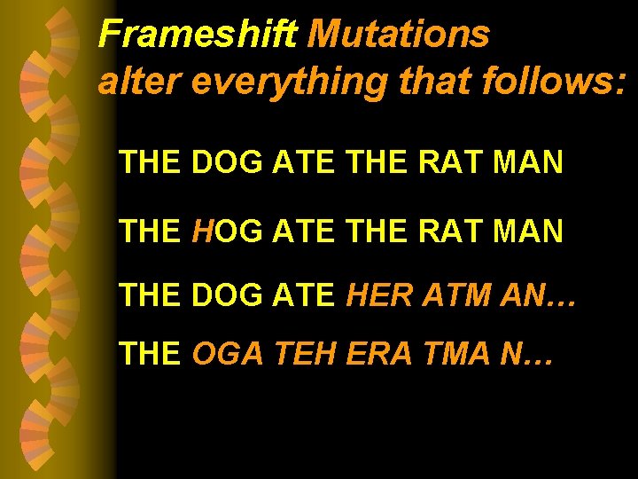 Frameshift Mutations alter everything that follows: THE DOG ATE THE RAT MAN THE HOG