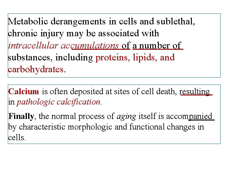 Metabolic derangements in cells and sublethal, chronic injury may be associated with intracellular accumulations