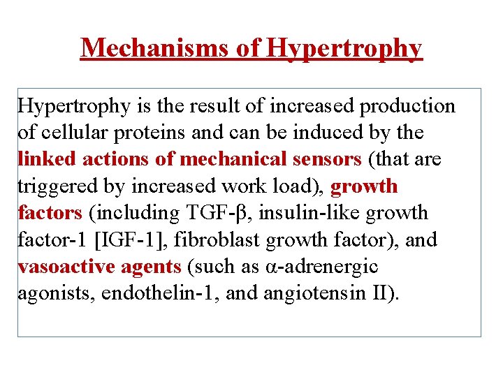 Mechanisms of Hypertrophy is the result of increased production of cellular proteins and can