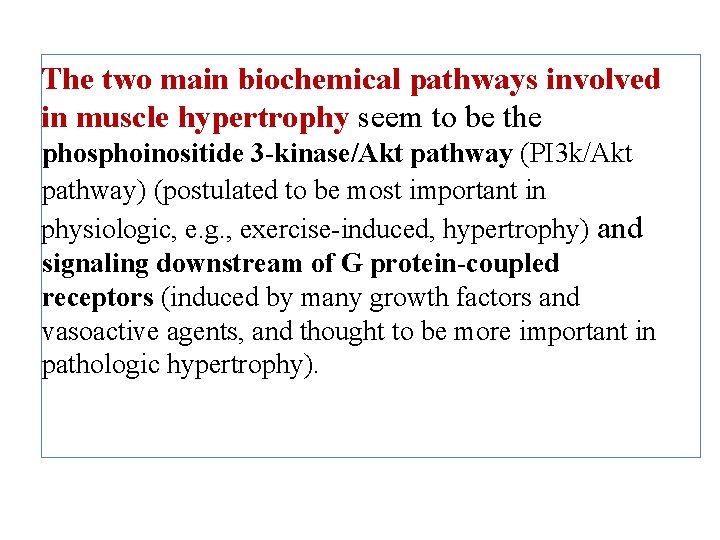 The two main biochemical pathways involved in muscle hypertrophy seem to be the phosphoinositide