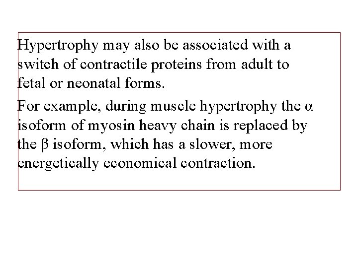 Hypertrophy may also be associated with a switch of contractile proteins from adult to