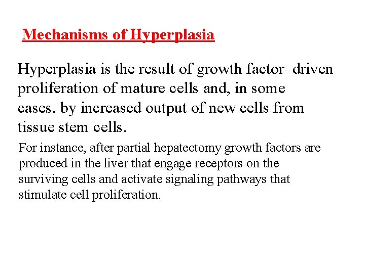 Mechanisms of Hyperplasia is the result of growth factor–driven proliferation of mature cells and,