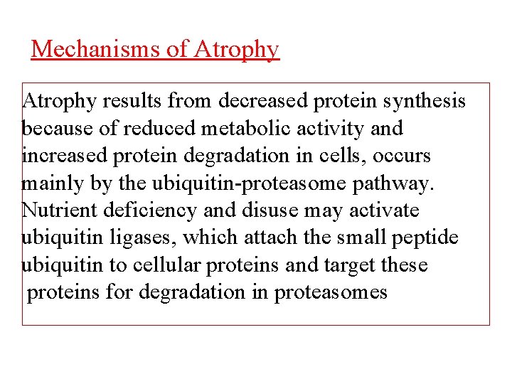 Mechanisms of Atrophy results from decreased protein synthesis because of reduced metabolic activity and