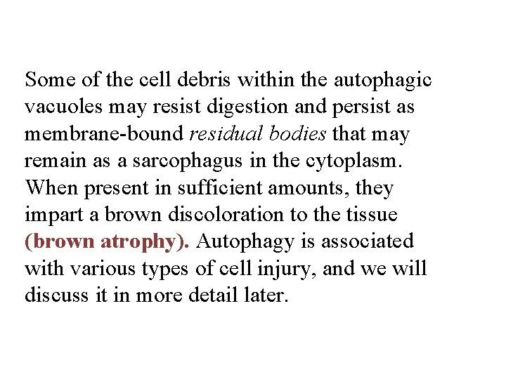 Some of the cell debris within the autophagic vacuoles may resist digestion and persist