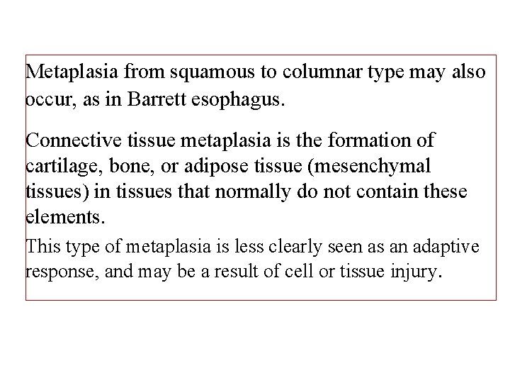 Metaplasia from squamous to columnar type may also occur, as in Barrett esophagus. Connective