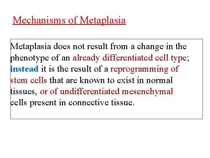 Mechanisms of Metaplasia does not result from a change in the phenotype of an