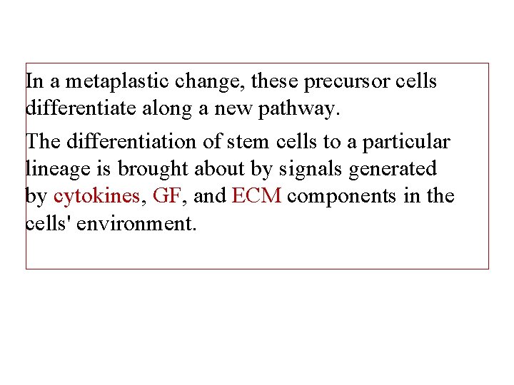 In a metaplastic change, these precursor cells differentiate along a new pathway. The differentiation