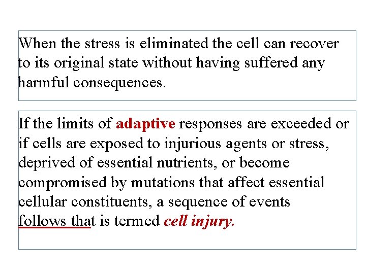 When the stress is eliminated the cell can recover to its original state without