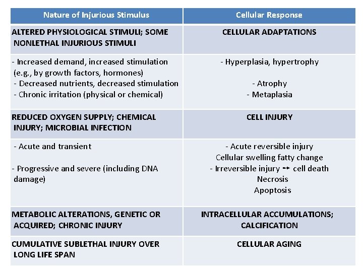 Nature of Injurious Stimulus Cellular Response ALTERED PHYSIOLOGICAL STIMULI; SOME NONLETHAL INJURIOUS STIMULI CELLULAR