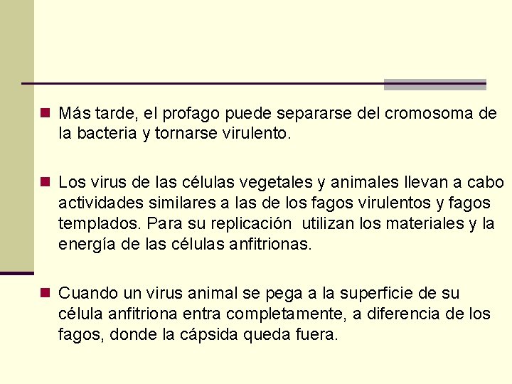 n Más tarde, el profago puede separarse del cromosoma de la bacteria y tornarse