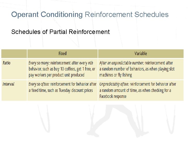 Operant Conditioning Reinforcement Schedules of Partial Reinforcement 