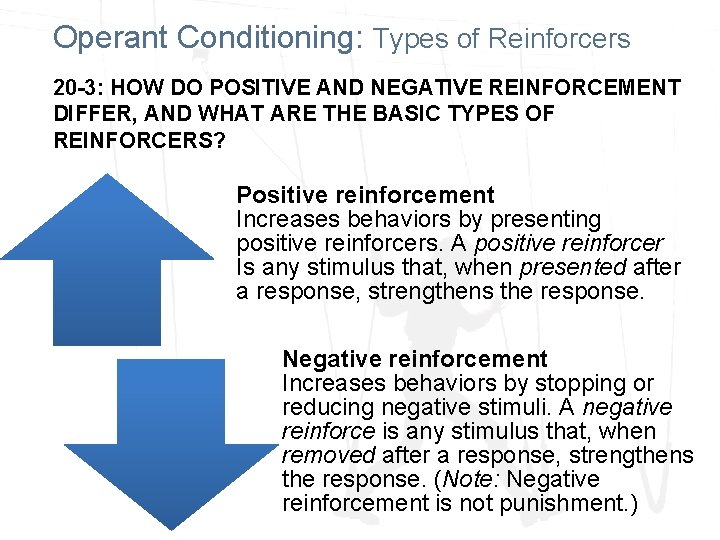 Operant Conditioning: Types of Reinforcers 20 -3: HOW DO POSITIVE AND NEGATIVE REINFORCEMENT DIFFER,