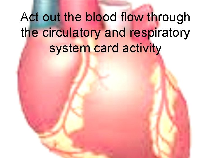 Act out the blood flow through the circulatory and respiratory system card activity 