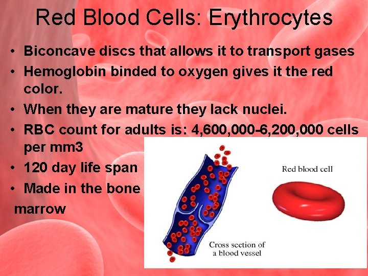 Red Blood Cells: Erythrocytes • Biconcave discs that allows it to transport gases •