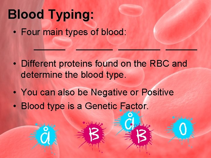 Blood Typing: • Four main types of blood: _______ ______ • Different proteins found