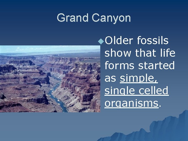 Grand Canyon u. Older fossils show that life forms started as simple, single celled