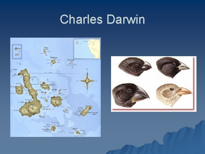 Charles Darwin 