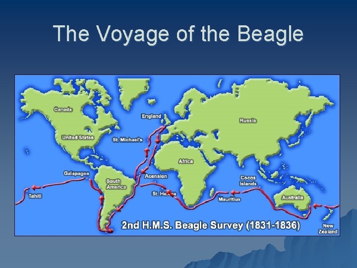 The Voyage of the Beagle 