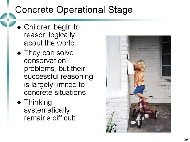 Concrete Operational Stage l l l Children begin to reason logically about the world