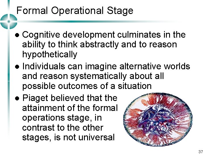 Formal Operational Stage Cognitive development culminates in the ability to think abstractly and to