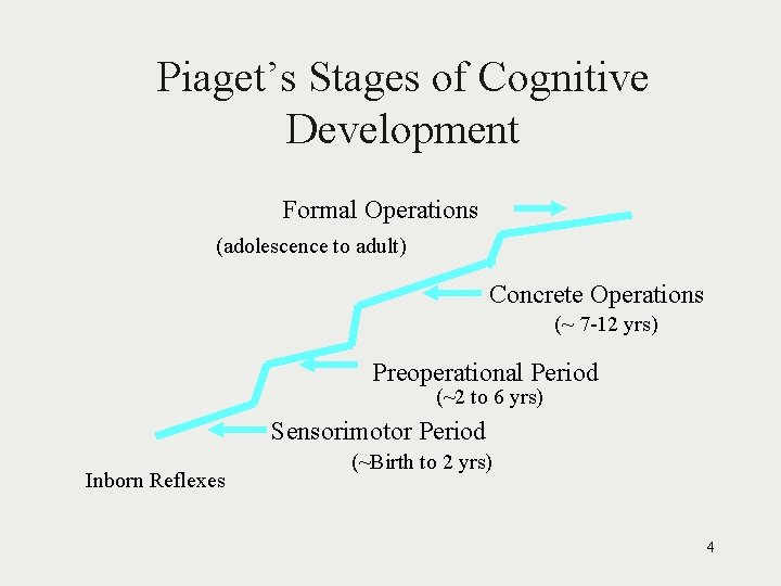 Piagets Theory of Cognitive Development 1 The Prefrontal