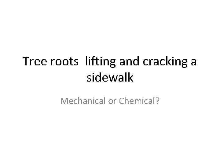 Tree roots lifting and cracking a sidewalk Mechanical or Chemical? 