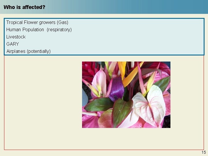 Who is affected? Tropical Flower growers (Gas) Human Population (respiratory) Livestock GARY Airplanes (potentially)