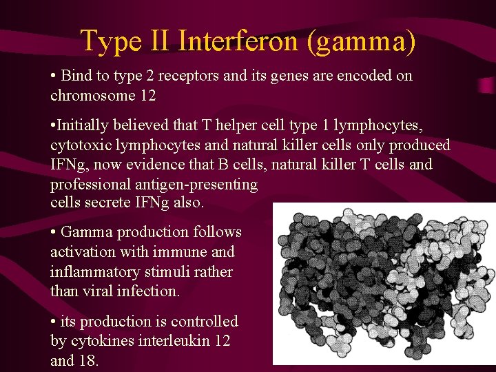 Type II Interferon (gamma) • Bind to type 2 receptors and its genes are