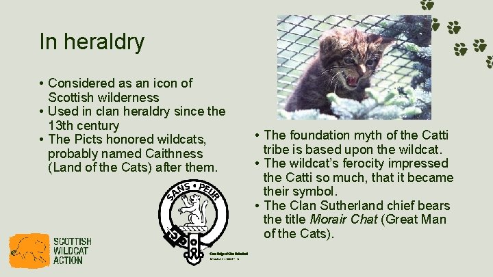 In heraldry • Considered as an icon of Scottish wilderness • Used in clan