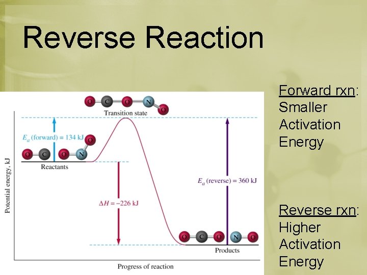 Reverse Reaction Forward rxn: Smaller Activation Energy Reverse rxn: Higher Activation Energy 