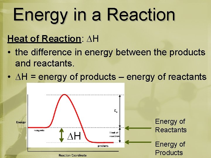 Energy in a Reaction Heat of Reaction: ∆H • the difference in energy between