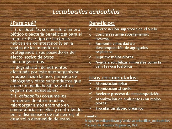 Lactobacillus acidophilus ¿Para qué? El L. acidophilus se considera un pro biótico o bacteria