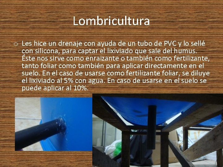 Lombricultura o Les hice un drenaje con ayuda de un tubo de PVC y