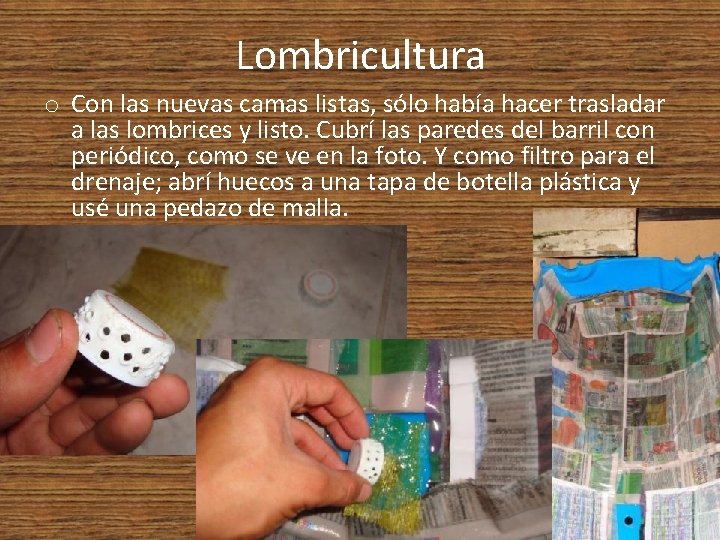 Lombricultura o Con las nuevas camas listas, sólo había hacer trasladar a las lombrices