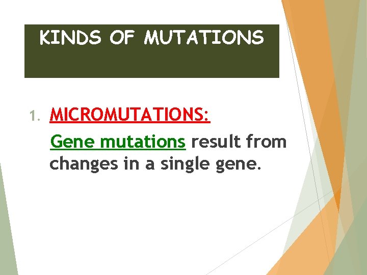 KINDS OF MUTATIONS 1. MICROMUTATIONS: Gene mutations result from changes in a single gene.