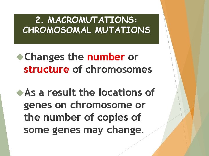 2. MACROMUTATIONS: CHROMOSOMAL MUTATIONS Changes the number or structure of chromosomes As a result