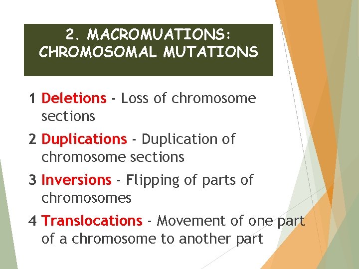 2. MACROMUATIONS: CHROMOSOMAL MUTATIONS 1 Deletions - Loss of chromosome sections 2 Duplications -