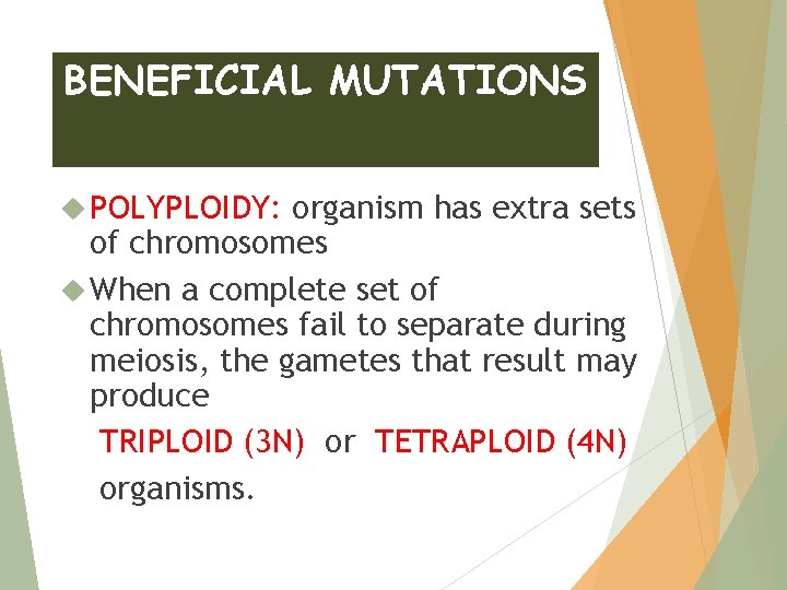 BENEFICIAL MUTATIONS POLYPLOIDY: organism has extra sets of chromosomes When a complete set of